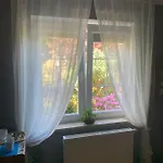 Kanarek Ustka